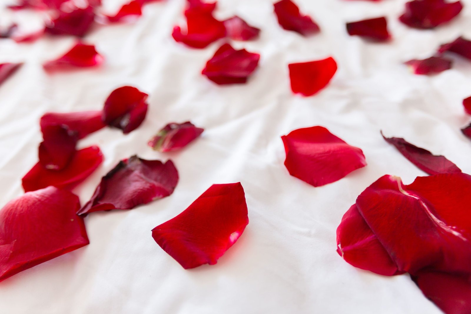 Pétalas de rosas sobre a cama